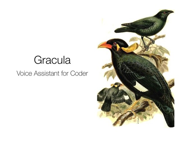 Gracula
Voice Assistant for Coder
