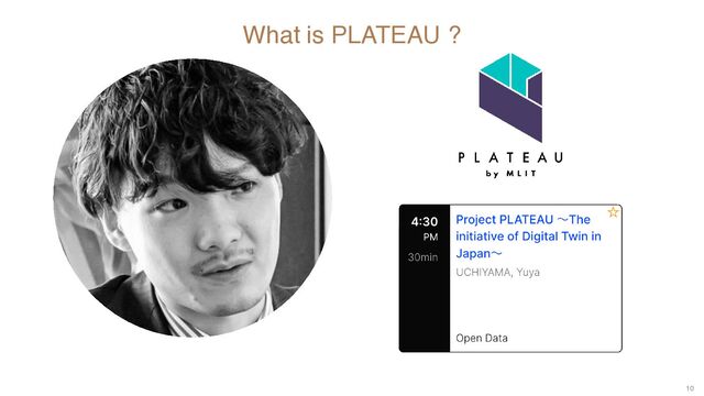 10
What is PLATEAU ?
