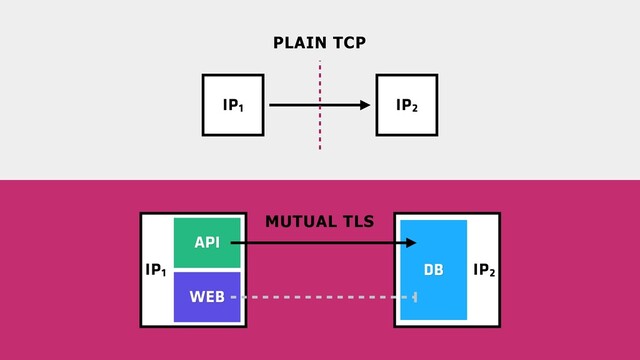 IP2
IP1
IP1 IP2
MUTUAL TLS
PLAIN TCP
WEB
DB
API
