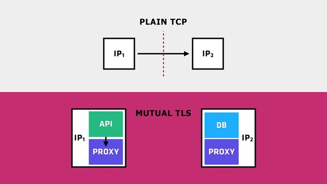 IP2
IP1
IP1 IP2
MUTUAL TLS
PLAIN TCP
PROXY
DB
API
PROXY
