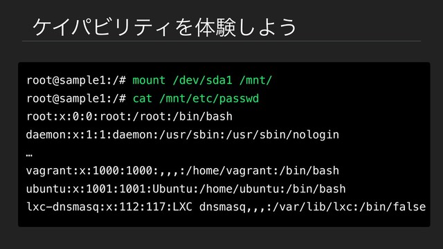 έΠύϏϦςΟΛମݧ͠Α͏
root@sample1:/# mount /dev/sda1 /mnt/
root@sample1:/# cat /mnt/etc/passwd
root:x:0:0:root:/root:/bin/bash
daemon:x:1:1:daemon:/usr/sbin:/usr/sbin/nologin
…
vagrant:x:1000:1000:,,,:/home/vagrant:/bin/bash
ubuntu:x:1001:1001:Ubuntu:/home/ubuntu:/bin/bash
lxc-dnsmasq:x:112:117:LXC dnsmasq,,,:/var/lib/lxc:/bin/false
