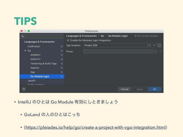 TIPS
• IntelliJ ͷͻͱ͸ Go Module ༗ޮʹ͠ͱ͖·͠ΐ͏
• GoLand ͷਓͷͻͱ͸ͬͪ͜
• (https://pleiades.io/help/go/create-a-project-with-vgo-integration.html)

