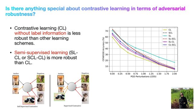 • Contrastive learning (CL)
without label information is less
robust than other learning
schemes. 

• Semi-supervised learning (SL-
CL or SCL-CL) is more robust
than CL.
Is there anything special about contrastive learning in terms of adversarial
robustness?

