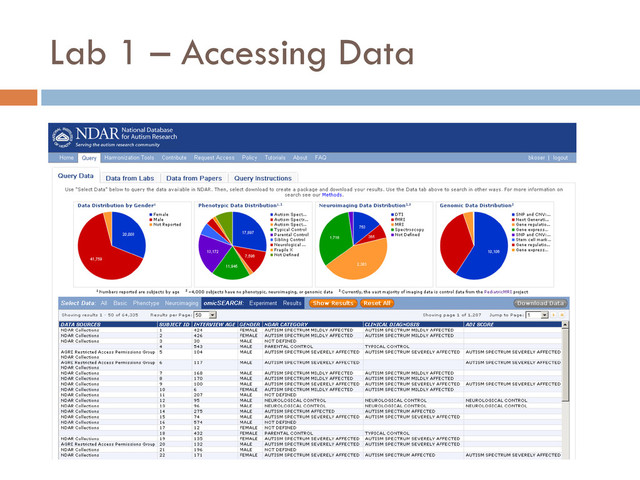 Lab 1 – Accessing Data
