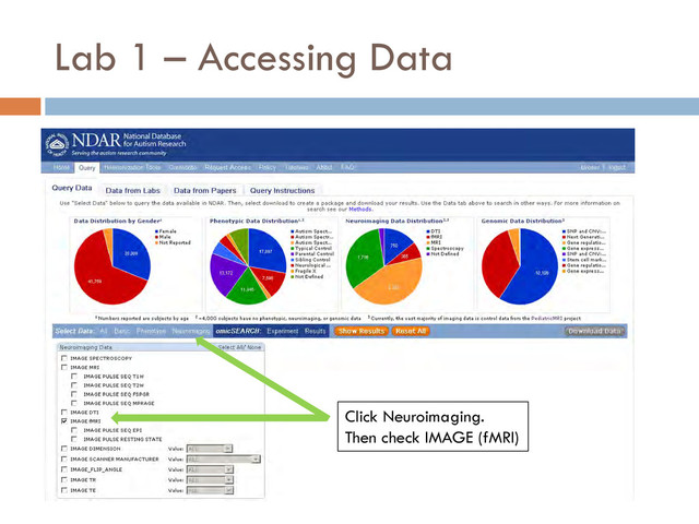 Lab 1 – Accessing Data
Click Neuroimaging.
Then check IMAGE (fMRI)
