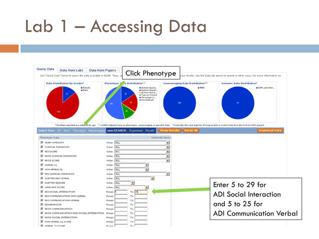 Lab 1 – Accessing Data
Click Phenotype
Enter 5 to 29 for
ADI Social Interaction
and 5 to 25 for
ADI Communication Verbal
