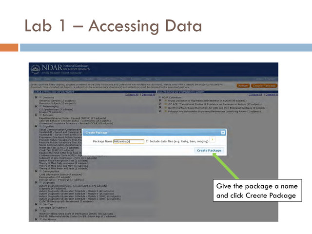 Lab 1 – Accessing Data
Give the package a name
and click Create Package
