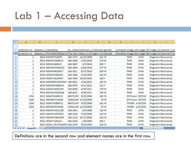 Lab 1 – Accessing Data
Definitions are in the second row and element names are in the first row.
