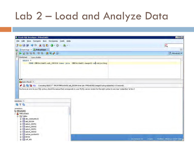Lab 2 – Load and Analyze Data
