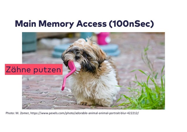 Main Memory Access (100nSec)
Zähne putzen
Photo: M. Zomer, https://www.pexels.com/photo/adorable-animal-animal-portrait-blur-422212/
