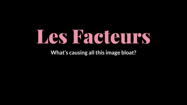 Les Facteurs
What’s causing all this image bloat?
