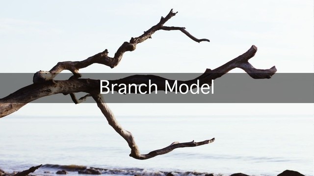 Branch Model
