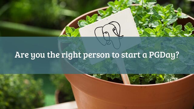 Are you the right person to start a PGDay?
