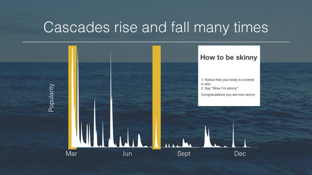 Mar Jun Sept Dec
Cascades rise and fall many times
Popularity
