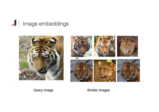 Image embeddings
