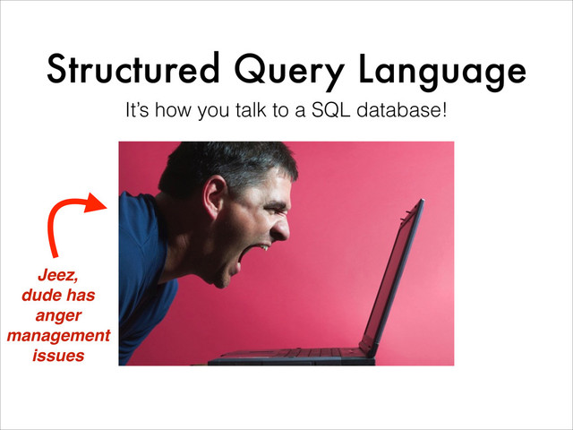Structured Query Language
It’s how you talk to a SQL database!
Jeez,!
dude has!
anger!
management!
issues
