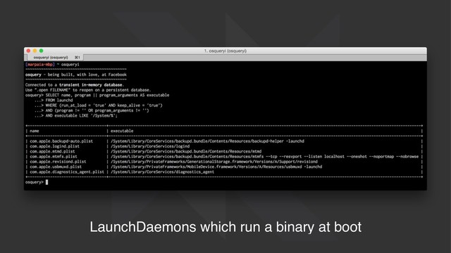 LaunchDaemons which run a binary at boot

