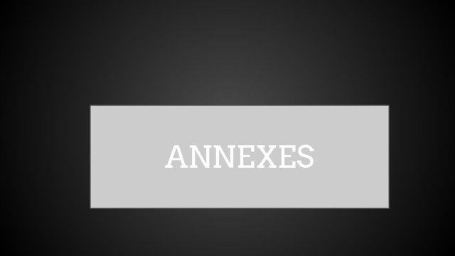 ANNEXES
