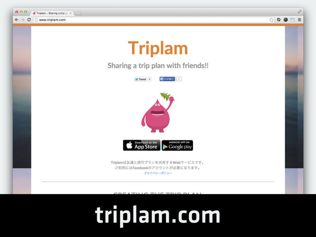 triplam.com

