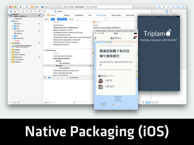 Native Packaging (iOS)
