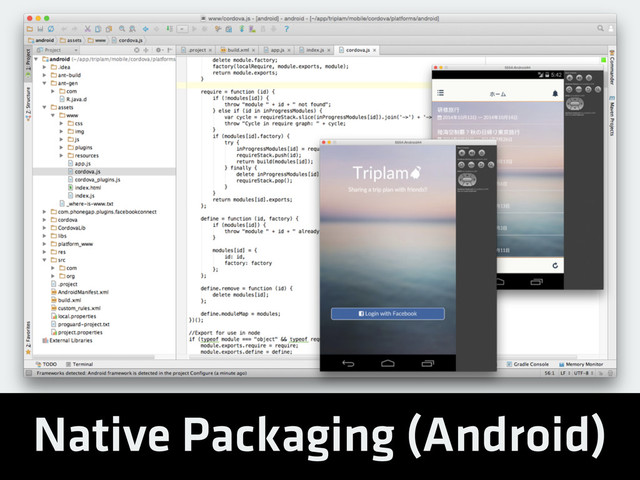 Native Packaging (Android)
