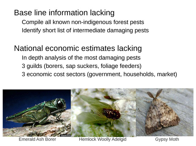 • Base line information lacking
– Compile all known non-indigenous forest pests
– Identify short list of intermediate damaging pests
–
• National economic estimates lacking
– In depth analysis of the most damaging pests
– 3 guilds (borers, sap suckers, foliage feeders)
– 3 economic cost sectors (government, households, market)
Emerald Ash Borer Hemlock Woolly Adelgid Gypsy Moth
