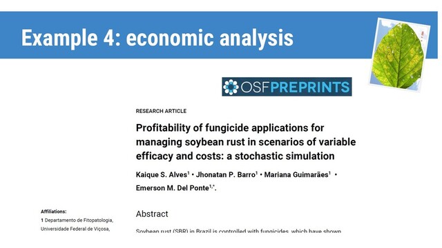 Example 4: economic analysis
