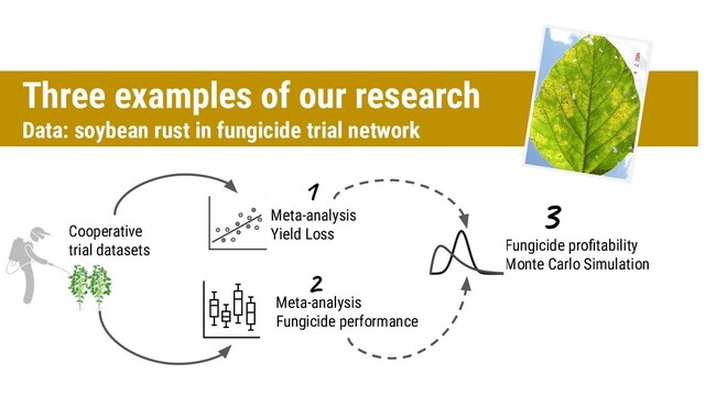 Three examples of our research
Data: soybean rust in fungicide trial network
Meta-analysis
Yield Loss
Meta-analysis
Fungicide performance
Fungicide proﬁtability
Monte Carlo Simulation
Cooperative
trial datasets
1
3
2
