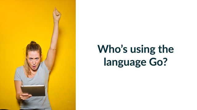 Who’s using the
language Go?
