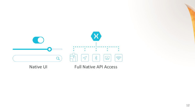 12
Native UI Full Native API Access
