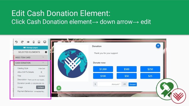 Edit Cash Donation Element:
Click Cash Donation element→ down arrow→ edit
