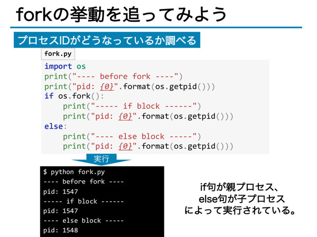 GPSLͷڍಈΛ௥ͬͯΈΑ͏
import os
print("---- before fork ----")
print("pid: {0}".format(os.getpid()))
if os.fork():
print("----- if block ------")
print("pid: {0}".format(os.getpid()))
else:
print("---- else block -----")
print("pid: {0}".format(os.getpid()))
$ python fork.py
---- before fork ----
pid: 1547
----- if block ------
pid: 1547
---- else block -----
pid: 1548
࣮ߦ
JG͕۟਌ϓϩηεɺ
FMTF͕۟ࢠϓϩηε
ʹΑ࣮ͬͯߦ͞Ε͍ͯΔɻ
ϓϩηε*%͕Ͳ͏ͳ͍ͬͯΔ͔ௐ΂Δ
fork.py
