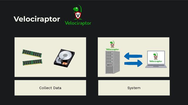 Velociraptor
Collect Data System
