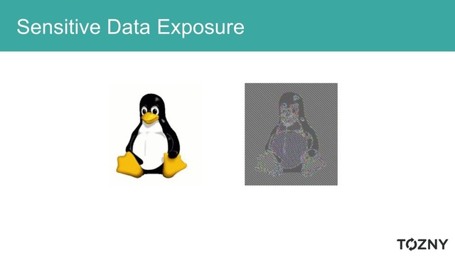 Sensitive Data Exposure
