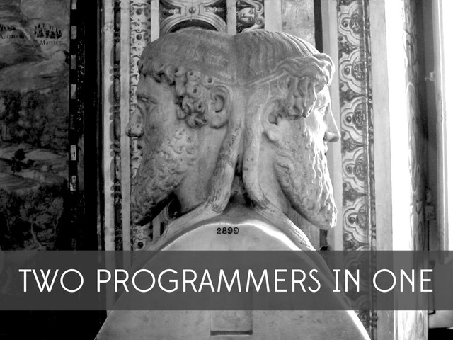 TWO PROGRAMMERS IN ONE
