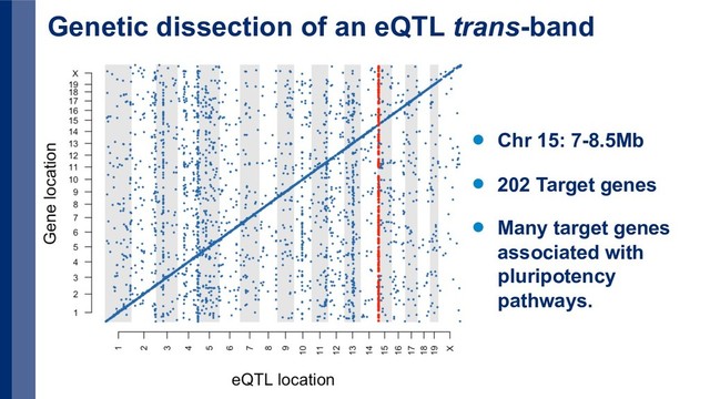 Genetic dissection of an eQTL trans-band
Chr 15: 7-8.5Mb
202 Target genes
Many target genes
associated with
pluripotency
pathways.
