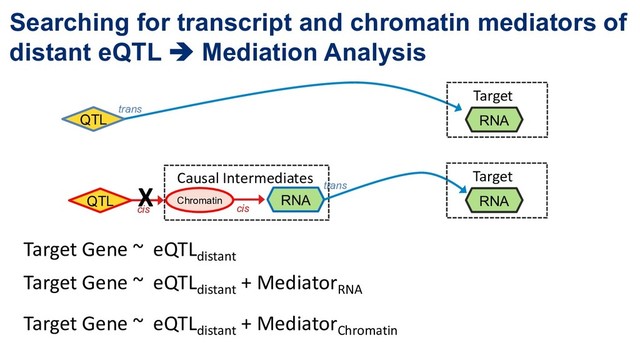 Searching for transcript and chromatin mediators of
distant eQTL è Mediation Analysis
RNA
QTL
trans
cis
RNA
Chromatin
Target
Causal Intermediates
RNA
trans
QTL
cis
Target
Target Gene ~ eQTLdistant
Target Gene ~ eQTLdistant
+ MediatorRNA
Target Gene ~ eQTLdistant
+ MediatorChromatin
X
