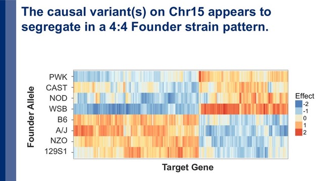 The causal variant(s) on Chr15 appears to
segregate in a 4:4 Founder strain pattern.
PWK
CAST
NOD
WSB
B6
A/J
NZO
129S1
Founder Allele
Target Gene
