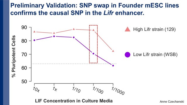 1 2 3 4 5
50
60
70
80
90
Preliminary Validation: SNP swap in Founder mESC lines
confirms the causal SNP in the Lifr enhancer.
10x 1x 1/10
1/100
1/1000
LIF Concentration in Culture Media
% Pluripotent Cells
High Lifr strain (129)
Low Lifr strain (WSB)
Anne Czechanski
