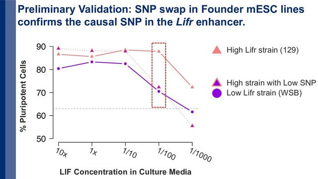 1 2 3 4 5
50
60
70
80
90
10x 1x 1/10
1/100
1/1000
LIF Concentration in Culture Media
% Pluripotent Cells
High Lifr strain (129)
Low Lifr strain (WSB)
High strain with Low SNP
Preliminary Validation: SNP swap in Founder mESC lines
confirms the causal SNP in the Lifr enhancer.
