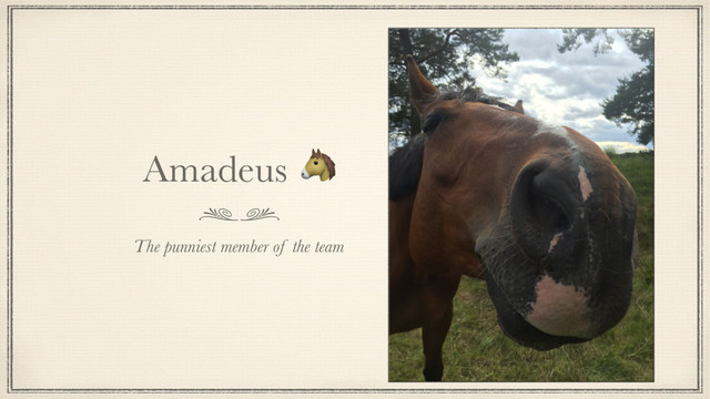 Amadeus 
The punniest member of the team
