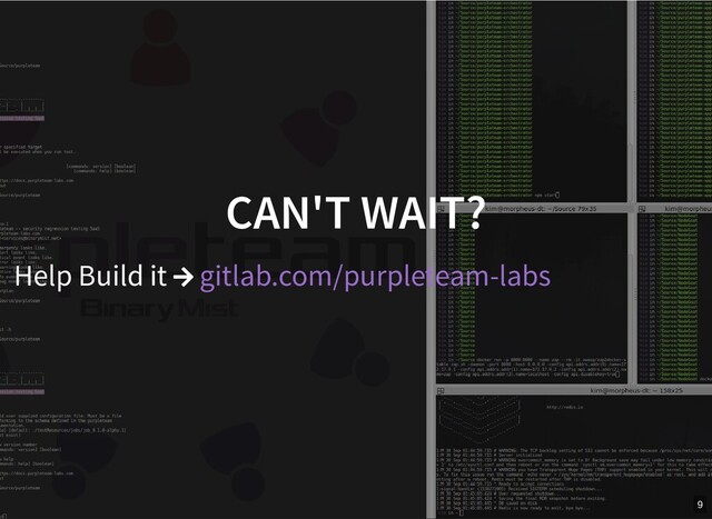 CAN'T WAIT?
CAN'T WAIT?
Help Build it  gitlab.com/purpleteam-labs
9
