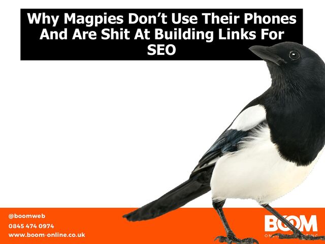 Why Magpies Don’t Use Their Phones
And Are Shit At Building Links For
SEO
