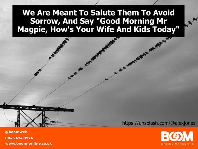 We Are Meant To Salute Them To Avoid
Sorrow, And Say "Good Morning Mr
Magpie, How's Your Wife And Kids Today"
https://unsplash.com/@alexjones
