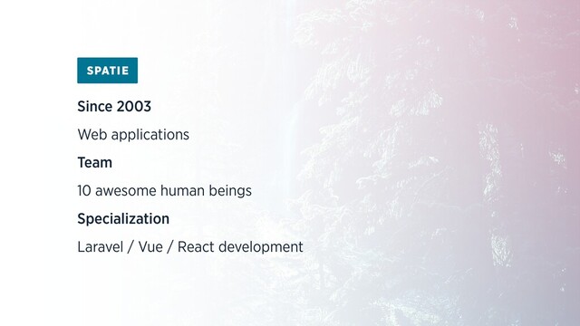Since 2003
Web applications
Team
10 awesome human beings
Specialization
Laravel / Vue / React development

