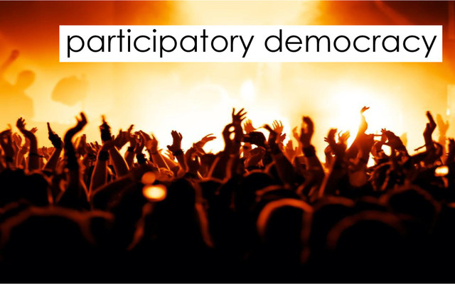 participatory democracy
