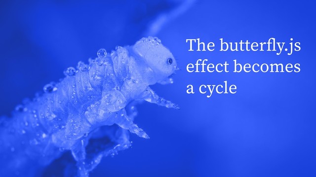 The butterﬂy.js
effect becomes
a cycle
