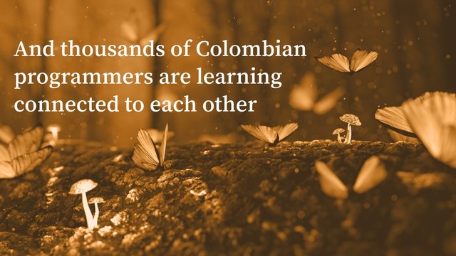 And thousands of Colombian
programmers are learning
connected to each other
