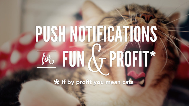 PUSH NOTIFICATIONS
FUN PROFIT*
for
&
*if by proﬁt you mean cats
