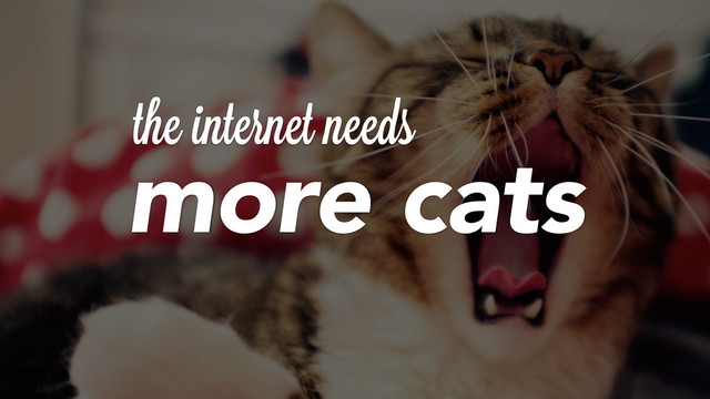 theiinternet needs
more cats
